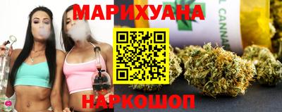 прущие крисы Кингисепп