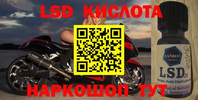 прущие крисы Кингисепп