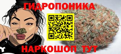 прущие крисы Кингисепп