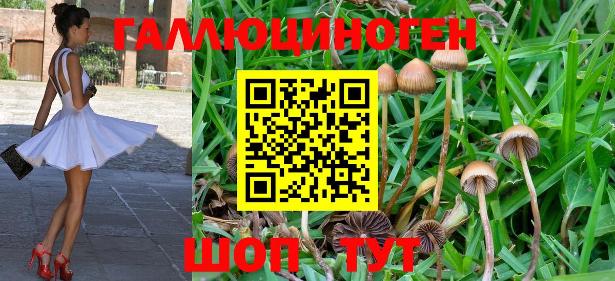 Галлюциногенные грибы Magic Shrooms Кострома