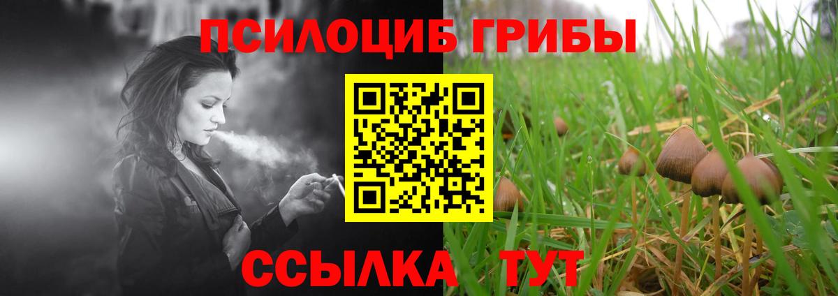 Кострома  Псилоцибиновые грибы ЛСД  Псилоцибиновые грибы GOLDEN TEACHER  что такое   Вход с VPN 
