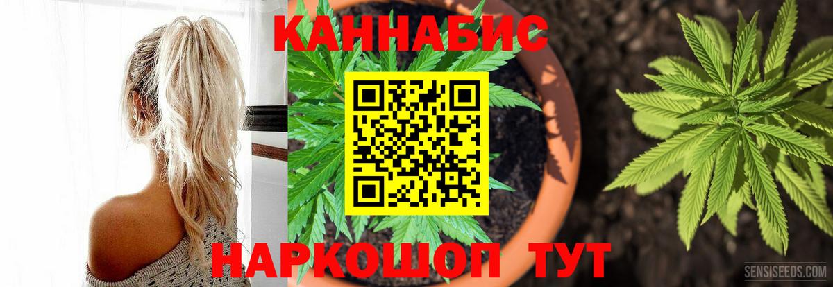 Конопля Bruce Banner Кострома